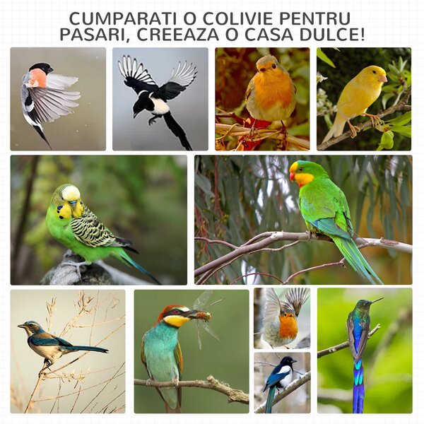 PawHut Colivie pentru Păsări cu 3 Deschideri cu Blocare, 4 Stinghii și Tavă Detașabilă, 80.5x57x153 cm, Portocaliu | Aosom Romania