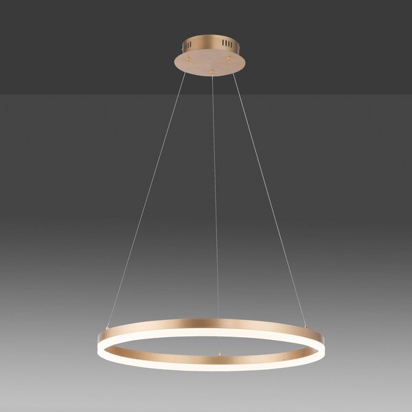 Paul Neuhaus Lampă suspendată LED Titus, Ø 60 cm, alamă, dimabil, reglabil, Auriu / Alamă, Camera de zi / sufragerie, Metal, Modern