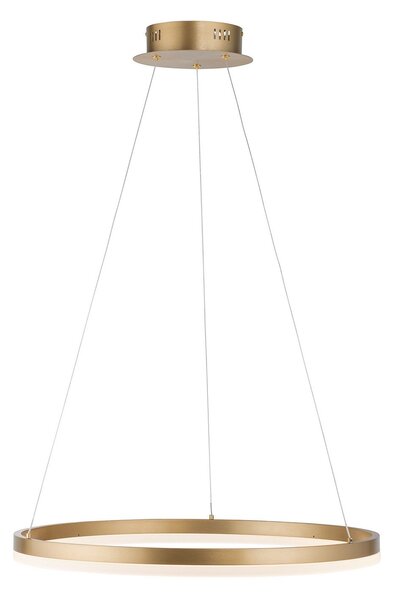 Paul Neuhaus Lampă suspendată LED Titus, Ø 60 cm, alamă, dimabil, reglabil, Auriu / Alamă, Camera de zi / sufragerie, Metal, Modern