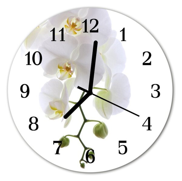 Ceas de perete din sticla rotund Orchid Flori & Plante alb