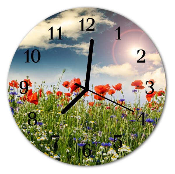 Ceas de perete din sticla rotund Meadow Peisaj verde