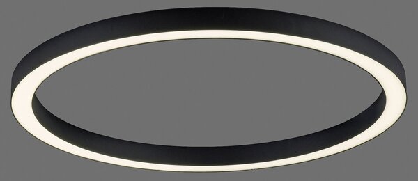 PURE Plafonieră LED Lines, Ø 70 cm, antracit, CCT, telecomandă, reglabil, Negru, Camera de zi / sufragerie, Metal, Modern