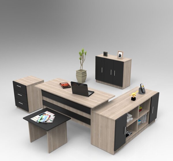 Set pentru birou Vincent 16 (Stejar + Negru). 1072652