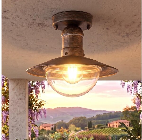 Plafonieră pentru exterior MOLDE 1xE27/60W IP44 bronz/patină - Brilagi