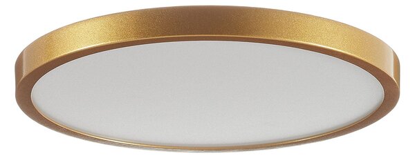 ORION Plafonieră LED Vika, rotundă, auriu mat, Ø 30cm, Auriu / Alamă, Camera de zi / sufragerie, Metal, Modern
