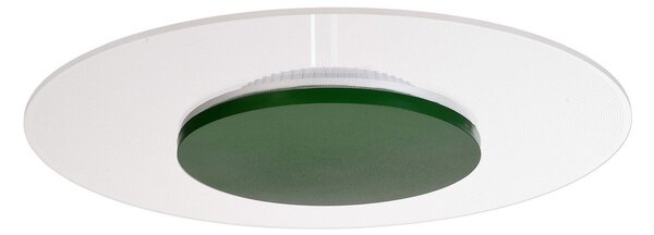 Deko-Light Plafonieră cu LED-uri Zaniah, lumină 360°, 24W, verde, reglabil, Verde, Camera de zi / sufragerie, Metal, Modern