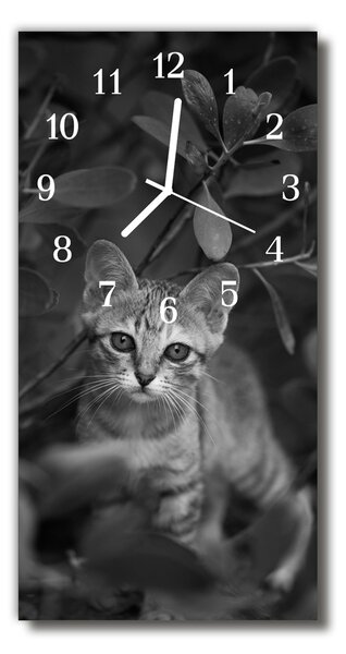 Ceas de perete din sticla vertical Animale animale pisică gri