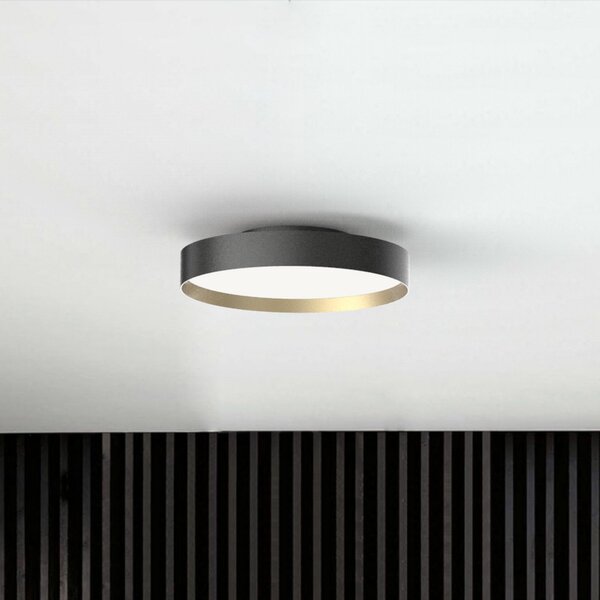Plafoniere LOOM DESIGN, Lucia, reglabil, Negru, Camera de zi, Metal, Modern