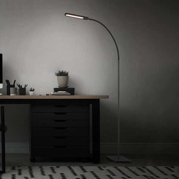 Briloner Servo lampadar LED, reglabil, CCT, negru, reglabil, Negru, Studiu / Birou, Metal, Modern, Lumină de lectură