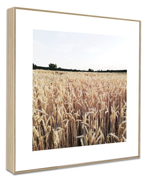 Poster 30x30 cm Aesthetic
