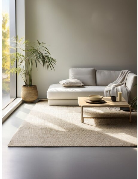 Covor crem din iută 160x230 cm Bouclé – Hanse Home