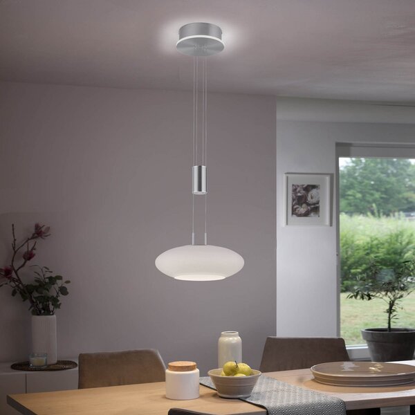 Q-Smart-Home Paul Neuhaus Q-ETIENNE lampă suspendată LED 1 bec, reglabil, Gri, Camera de zi / sufragerie, Metal, Modern