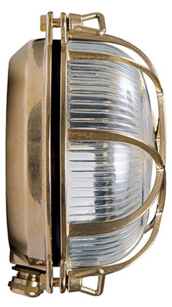 Moretti Luce Aplică de exterior Tortuga, alamă, sticlă clară, Auriu / Alamă, Metal, Maritimă