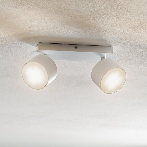 Eko-Light Spot de tavan Cloudy cu 2 becuri, alb, reglabil, Alb, Camera de zi / sufragerie, Metal, Modern