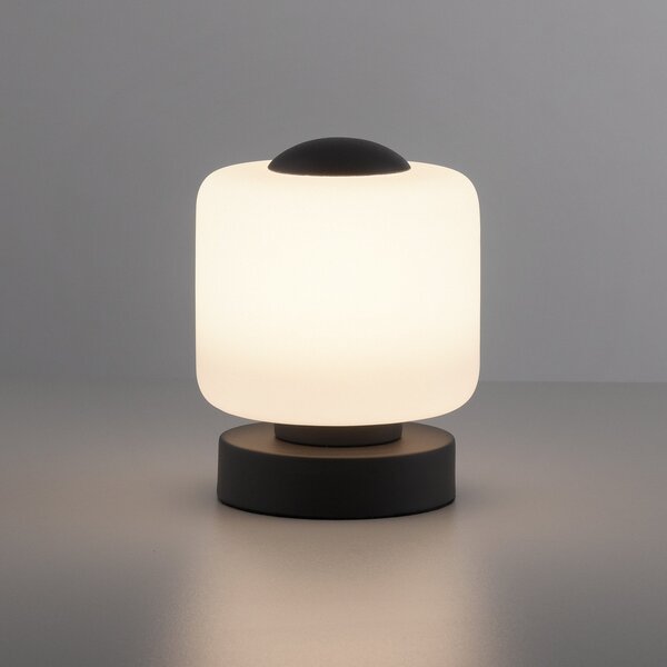 Paul Neuhaus LED lampă de masă Bota, antracit, sticlă, dimabil, reglabil, Negru, Camera de zi / sufragerie, Metal, Modern