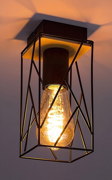 Rabalux Boire lampă de tavan 1x40 W negru 71021