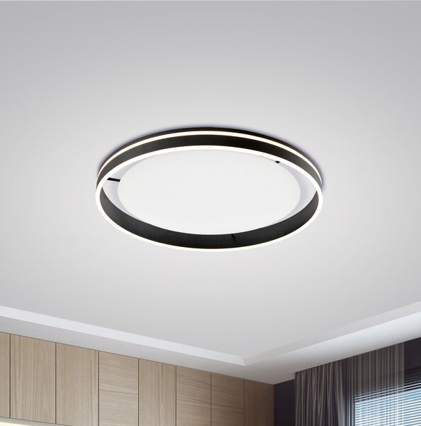 Q-Smart-Home Paul Neuhaus Q-VITO plafonieră LED 79cm antracit, reglabil, Negru, Camera de zi / sufragerie, Metal, Modern