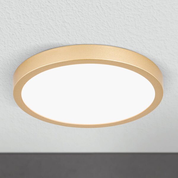 ORION Plafonieră LED Vika, rotundă, auriu mat, Ø 23cm, Auriu / Alamă, Camera de zi / sufragerie, Metal, Modern