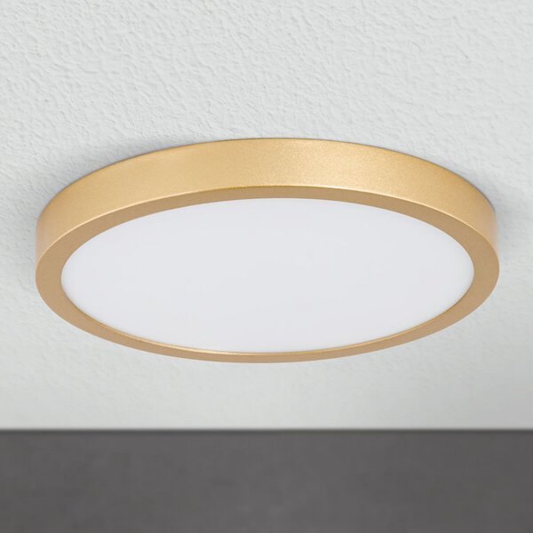 ORION Plafonieră LED Vika, rotundă, auriu mat, Ø 23cm, Auriu / Alamă, Camera de zi / sufragerie, Metal, Modern