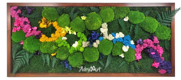 Tablou Beauty decorat cu muschi plati bombati si hortensii criogenate