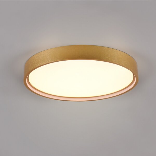 Trio Lighting Doha plafonieră LED, CCT, alamă mată, Auriu / Alamă, Camera de zi / sufragerie, Metal, Perete rotund