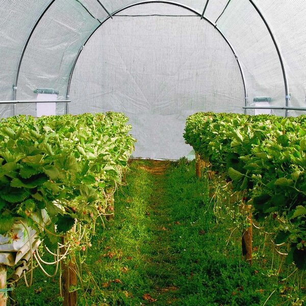 Sera solar tip tunel pentru gradina, 6x3x2 m, folie PE 140g/mp, filtru UV4, ferestre