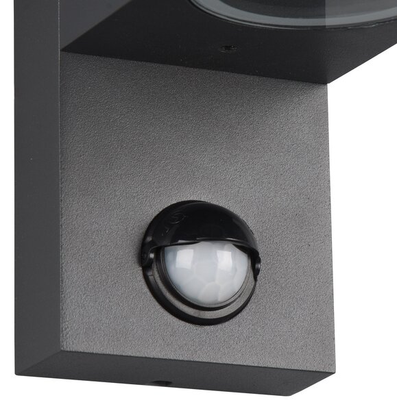 Trio Lighting Aplică exterior Roya 2 bec senzor rotundă antracit, reglabil, Negru, Metal, Modern