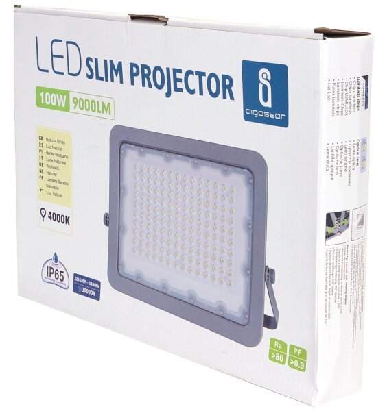 Proiector LED Aigostar LED/100W/230V gri 4000K IP65