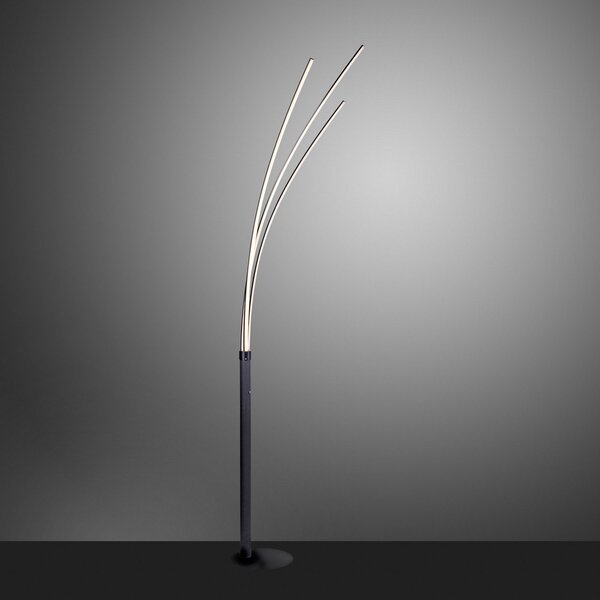 JUST LIGHT. GmbH Lampă de podea cu LED Maja, trei lumini negre, Negru, Camera de zi / sufragerie, Metal, Modern