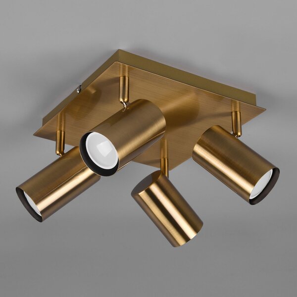 Trio Lighting Spot de plafon Marley, alamă antică, 4 becuri, reglabil, Bronz / Alamă Veche, Camera de zi / sufragerie, Metal, Modern