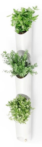 Set vaze modulare Umbra Floralink