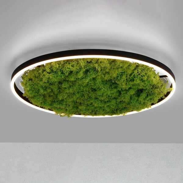 JUST LIGHT. GmbH Plafonieră LED Green Ritus, moss dimabil Ø58.5cm, reglabil, Verde, Camera de zi / sufragerie, Modern