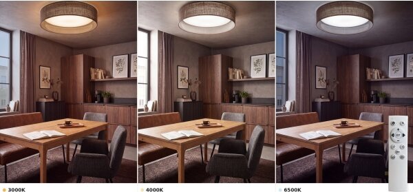 BRILAGI - Lampă LED reglabilă VELVET SM. VARI 36W/230V 3000-6500K diam. 55 cm maro + telecomandă