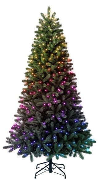 Twinkly TG70P4425P01 - Brad de Crăciun LED RGBW TREE, 435 LED-uri, 2,1 m, Wi-Fi