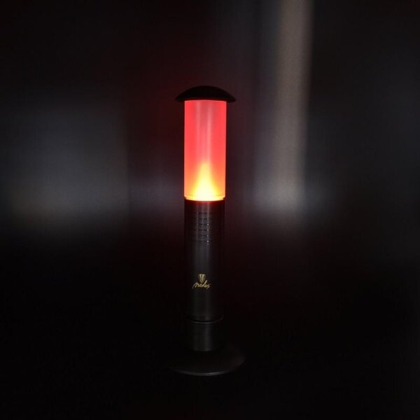 LED Lampă portabilă 2xLED/1xD IPX4