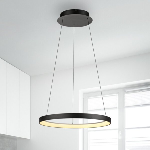 Paul Neuhaus Lampă suspendată LED Hoop, negru, Ø 57 cm, dimabil, reglabil, Negru, Camera de zi / sufragerie, Aluminiu, Modern