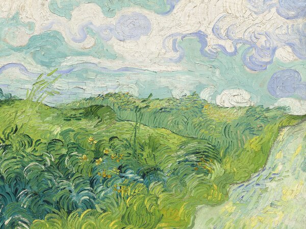 Artă imprimată Green Wheat Fields - Vincent van Gogh, (40 x 30 cm)