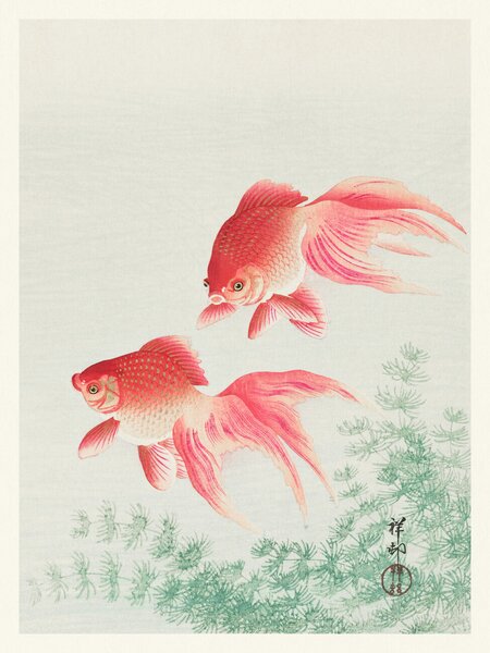 Reproducere Two Veil Goldfish (Japandi Vintage) - Ohara Koson, (30 x 40 cm)