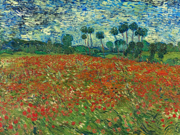 Artă imprimată Poppy Fields - Vincent van Gogh, (40 x 30 cm)