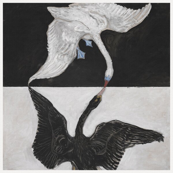 Reproducere The Swan No.1 (Black & White) - Hilma af Klint, (40 x 40 cm)