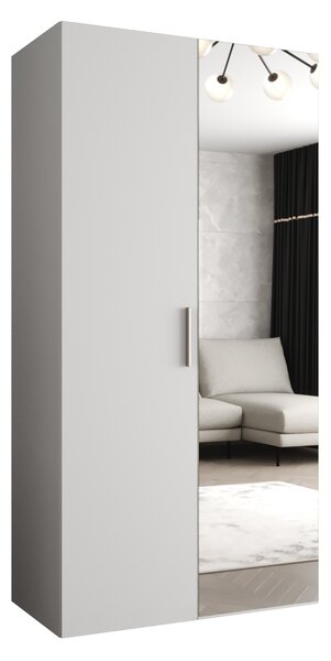 Dulap de haine 100 cm Borry 2 (alb + Argintiu). 1125803