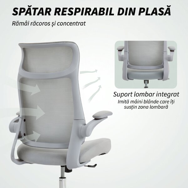 HOMCOM Scaun de birou ergonomic cu cotiere reglabile și tetieră, gri | Aosom Romania