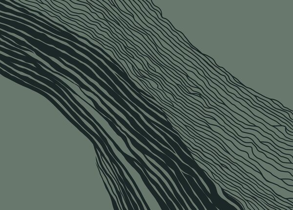 Fototapet Linii albe și negre pe un fundal verde, Fototapet abstracte, Fototapet populare, t00778v3 - Tapeko.ro