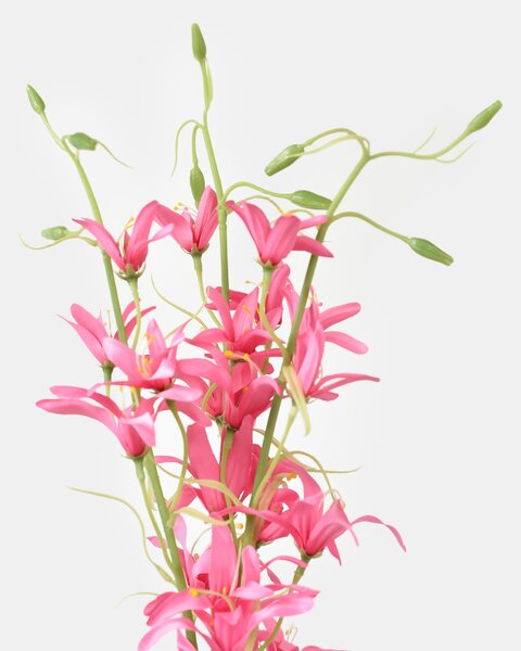 Sinsay - Plantă artificială decorativă 3 pack - violet-închis