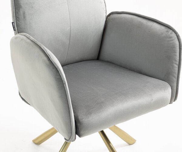 HR280 BAZĂ STEA Scaun Gray din Catifea cu Bază Aurie