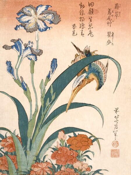 Reproducere Kingfisher, Hokusai, Katsushika