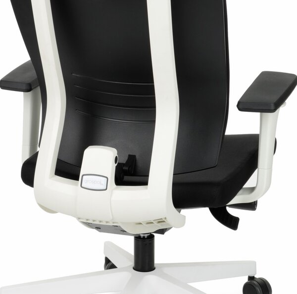 Scaun de birou MaxPro WT