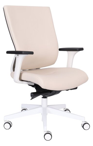 Scaun de birou MaxPro WT