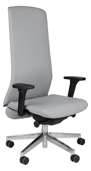 Scaun de birou Smart B