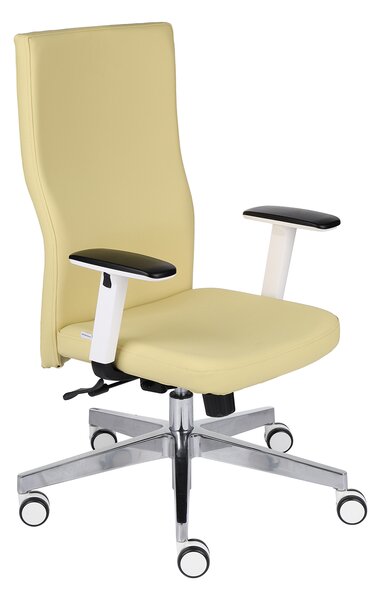 Scaun de birou Team Plus W Chrome